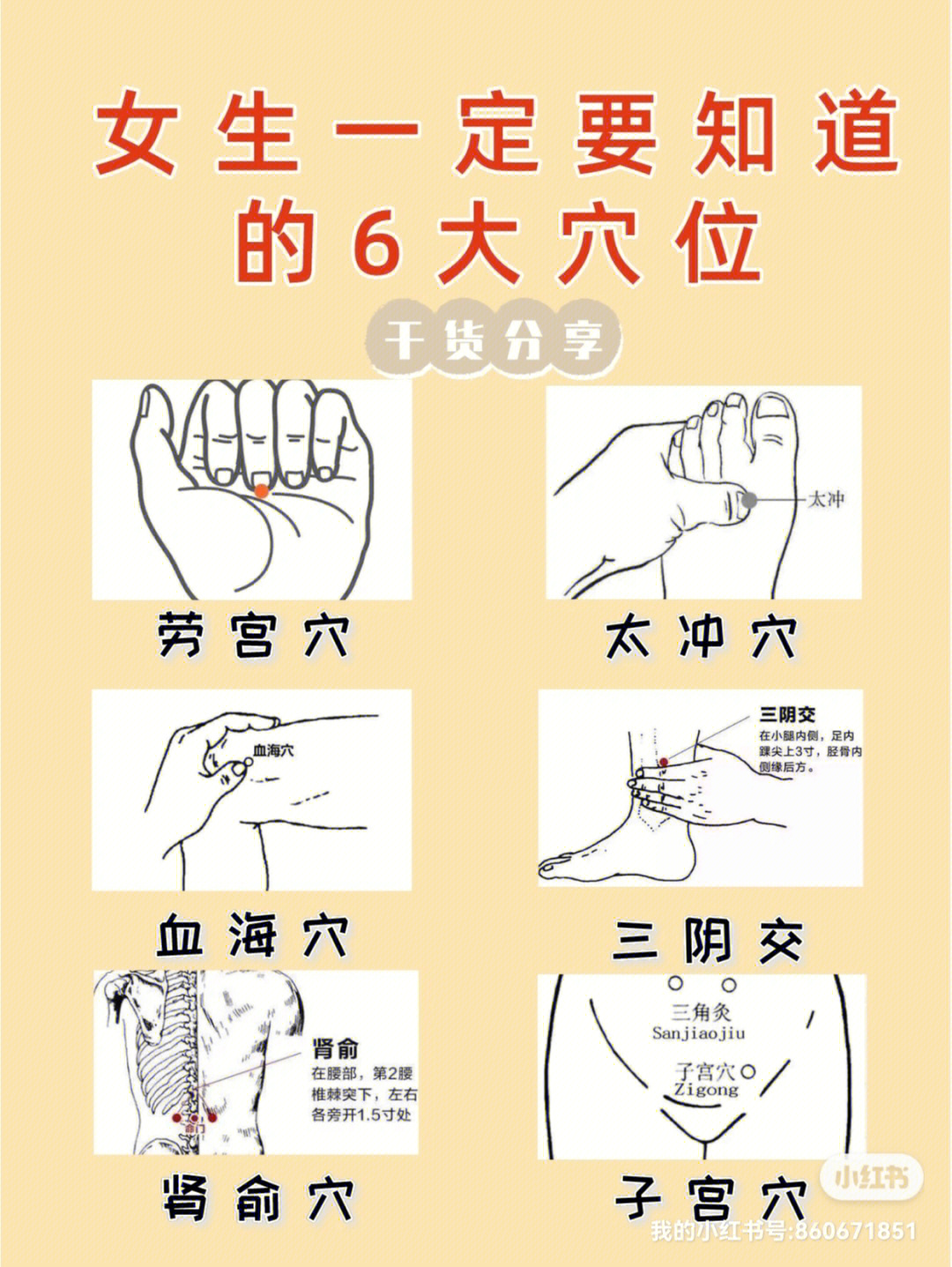 痛经严重会影响日常生活;更年期女性易月经失调甚至出现各种综合征