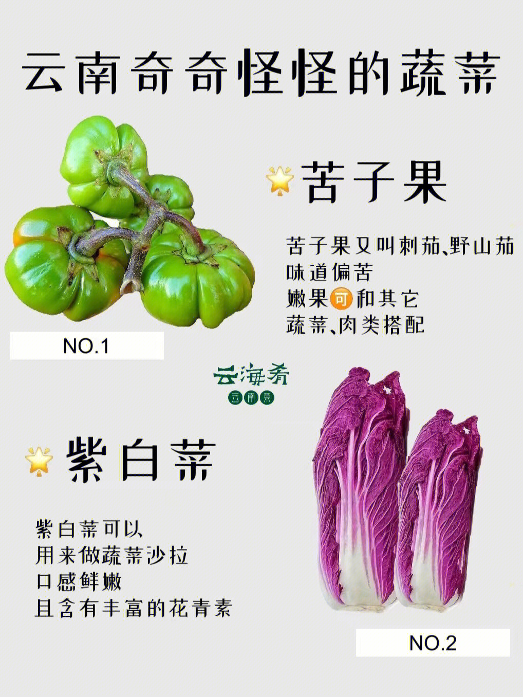 奇葩蔬菜名称图片