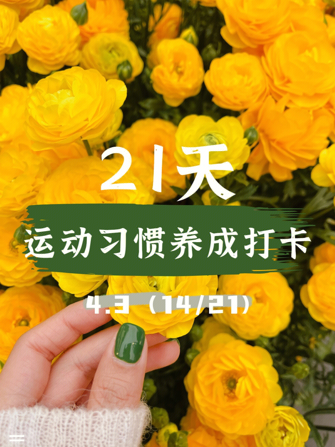 0521天运动习惯养成打卡记第14天