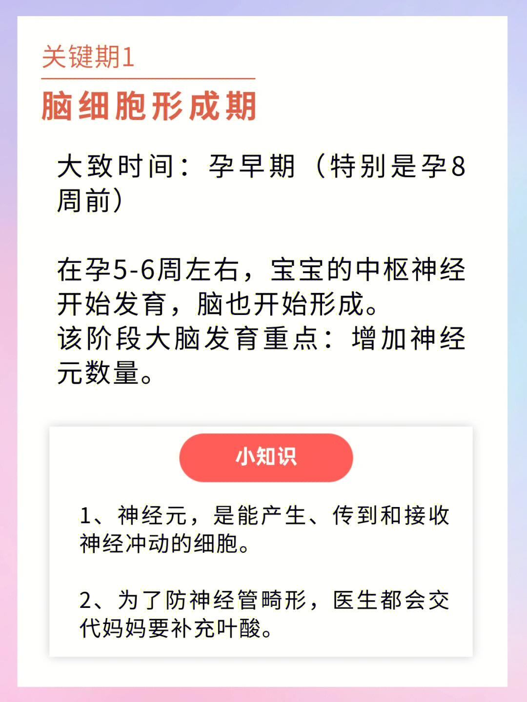 胎儿大脑发育的3个关键期