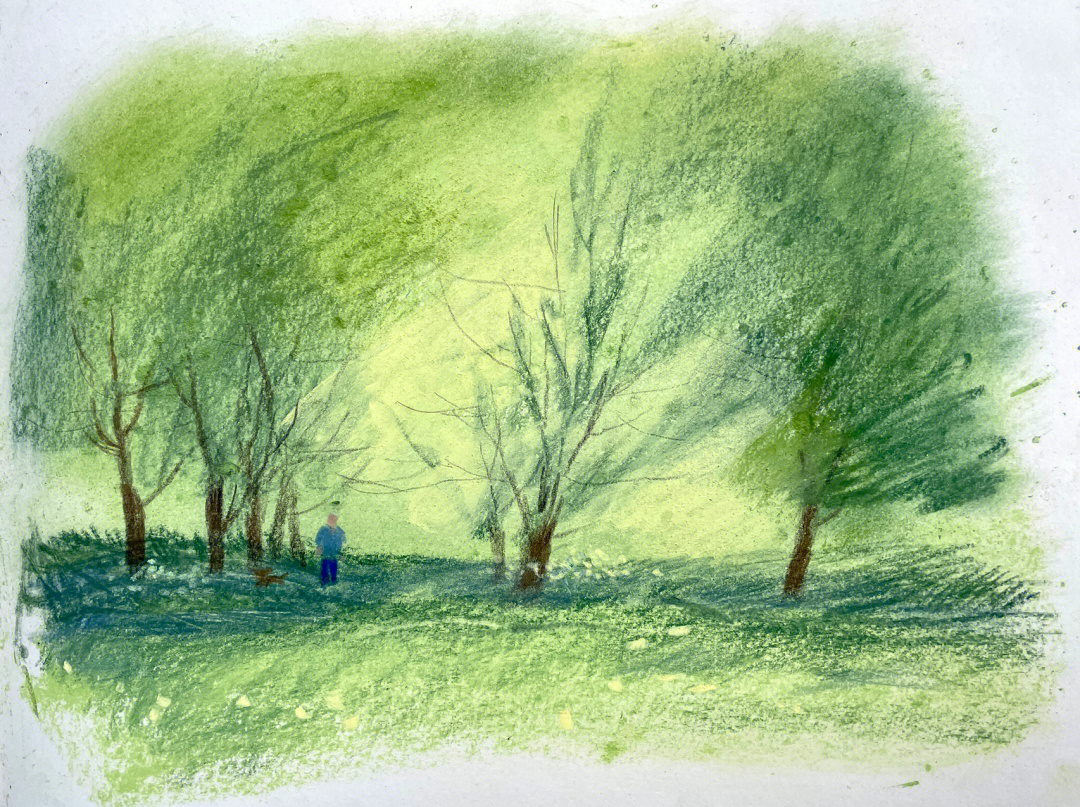 柳树手绘彩铅画图片