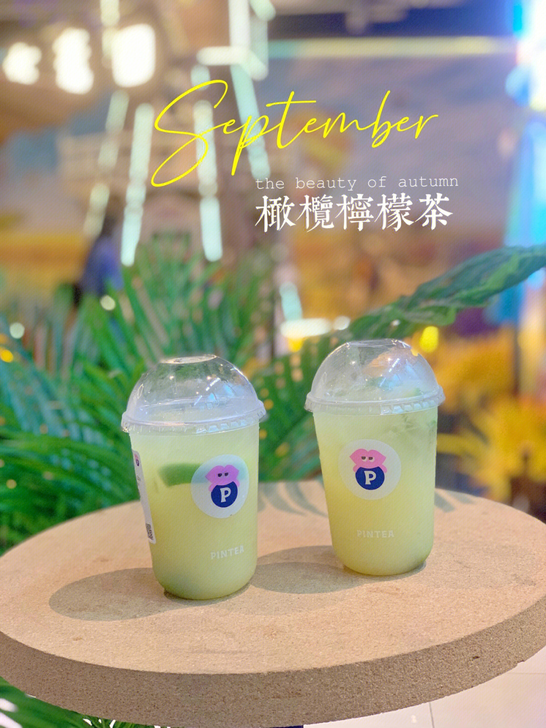 广州宝藏饮品店无奶盖鲜果茶pintea