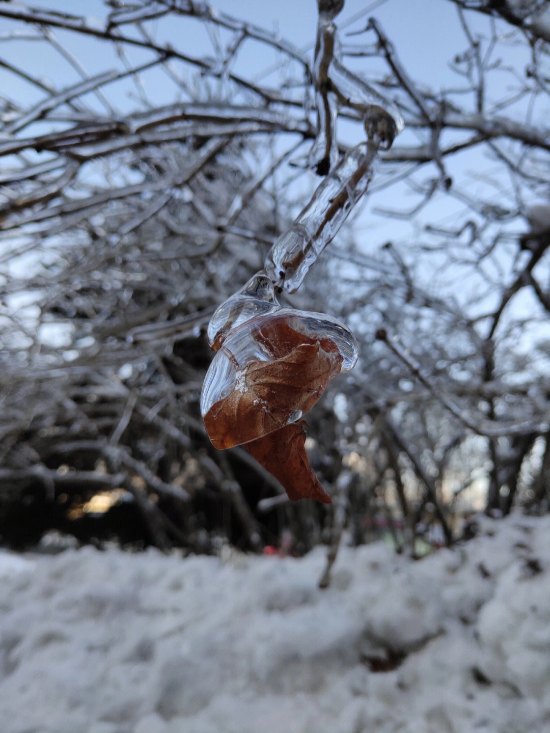 广东冻雨图片图片