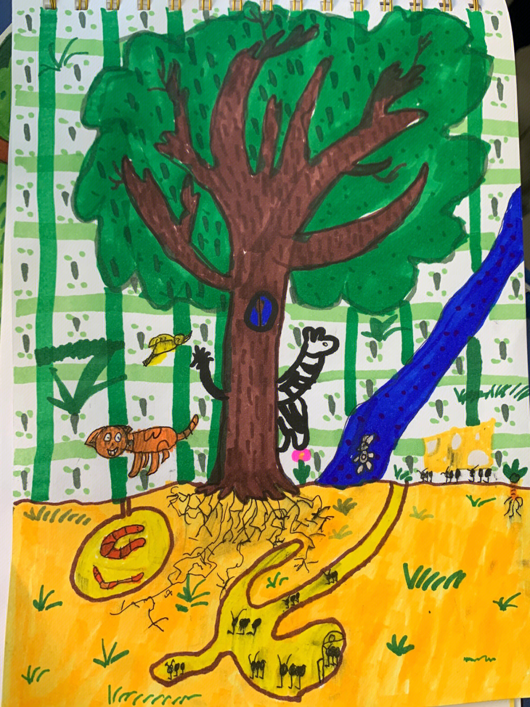 二年级画大树的故事图片