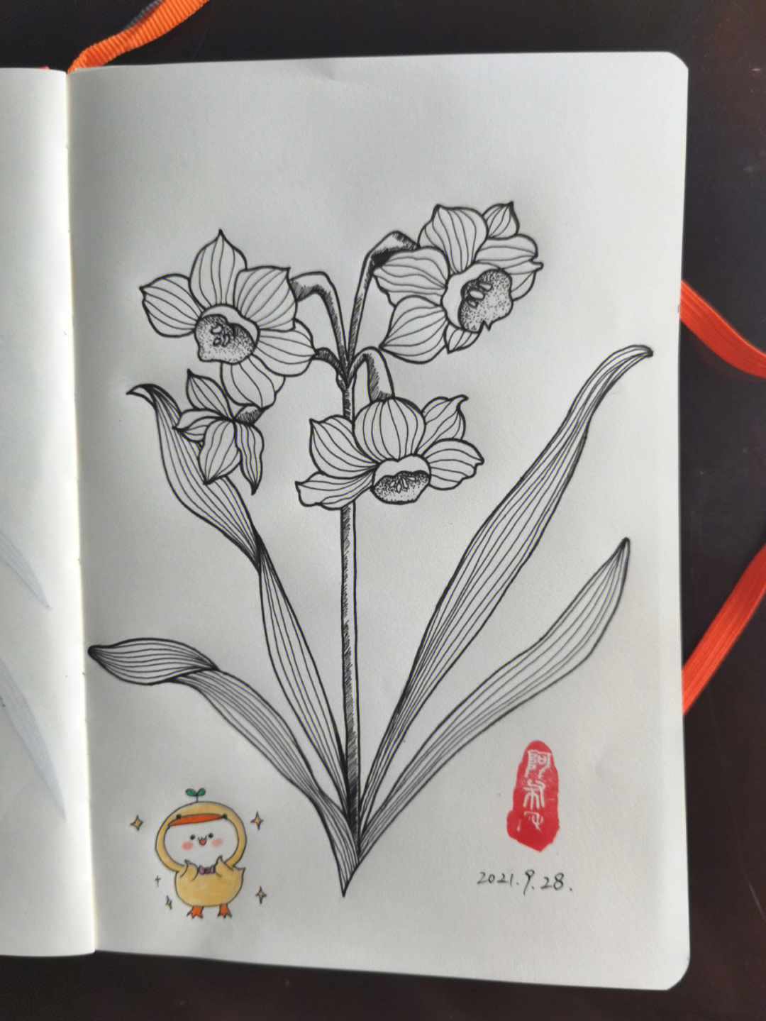 水仙花的样子手绘图片