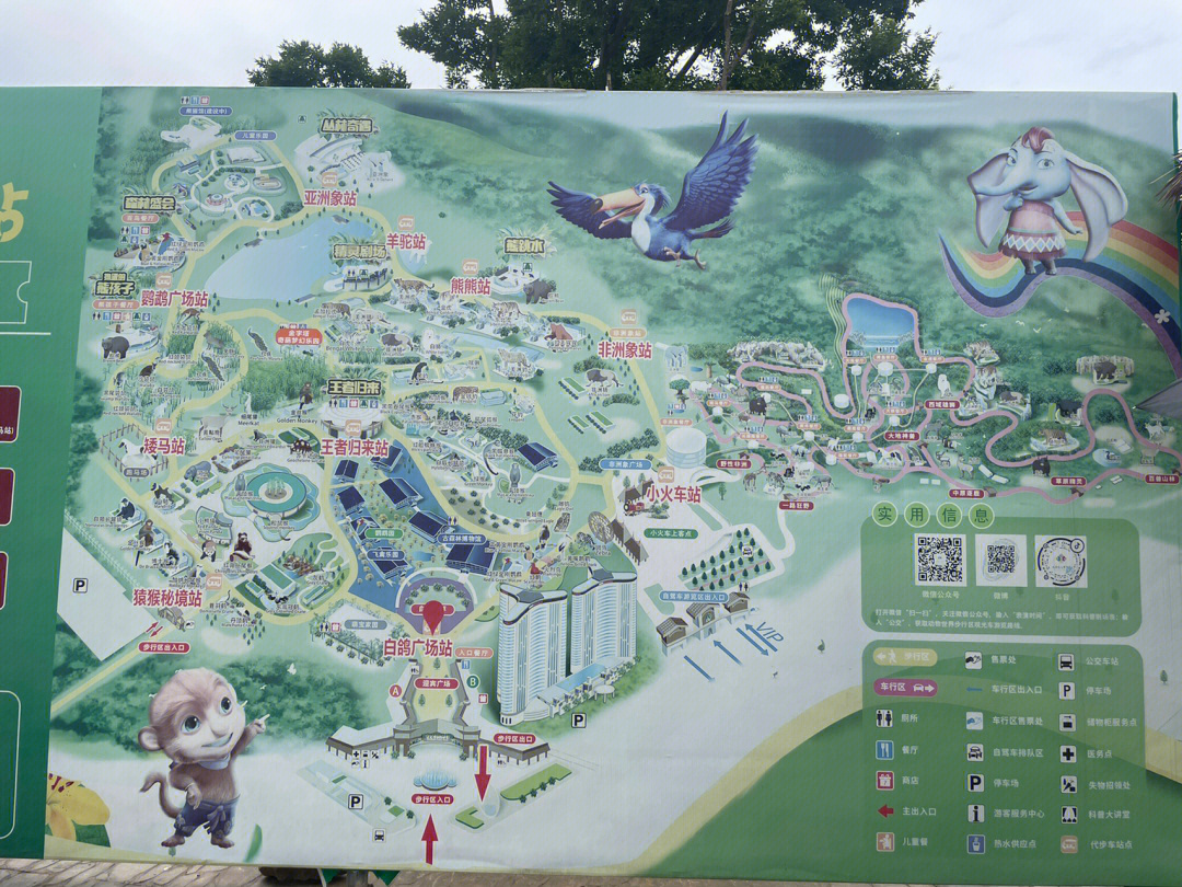 龙之梦动物园地图高清图片