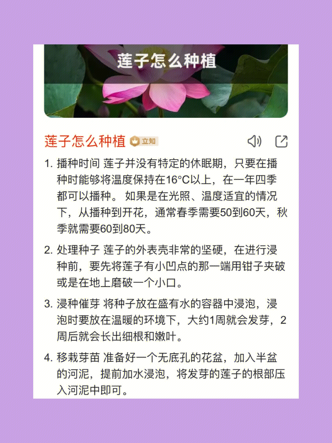 吃着吃着突发奇想的想要试试能不能发芽97,期待