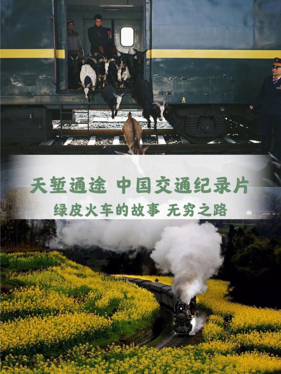 中国交通纪录片天堑通途绿皮车的故事