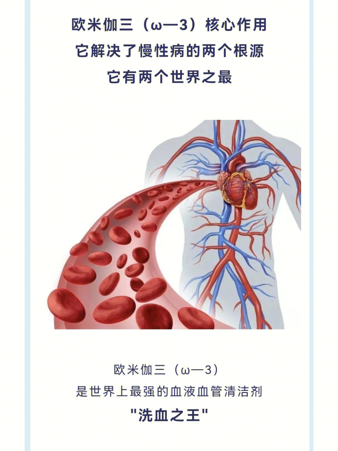 欧米伽三ω―3被称为人类救命的脂肪酸