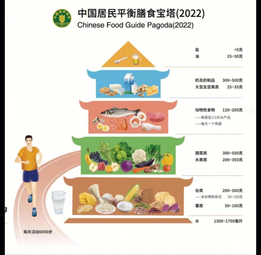 14-17岁 以及18岁以上成年人每日所需要各类食物需要量#膳食宝塔