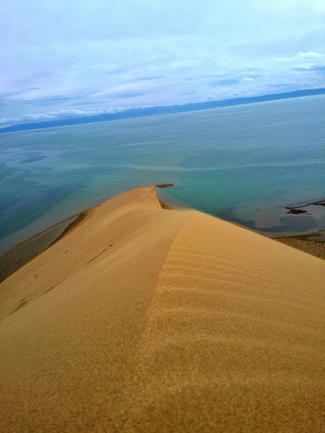 青海湖沙岛景区图片图片