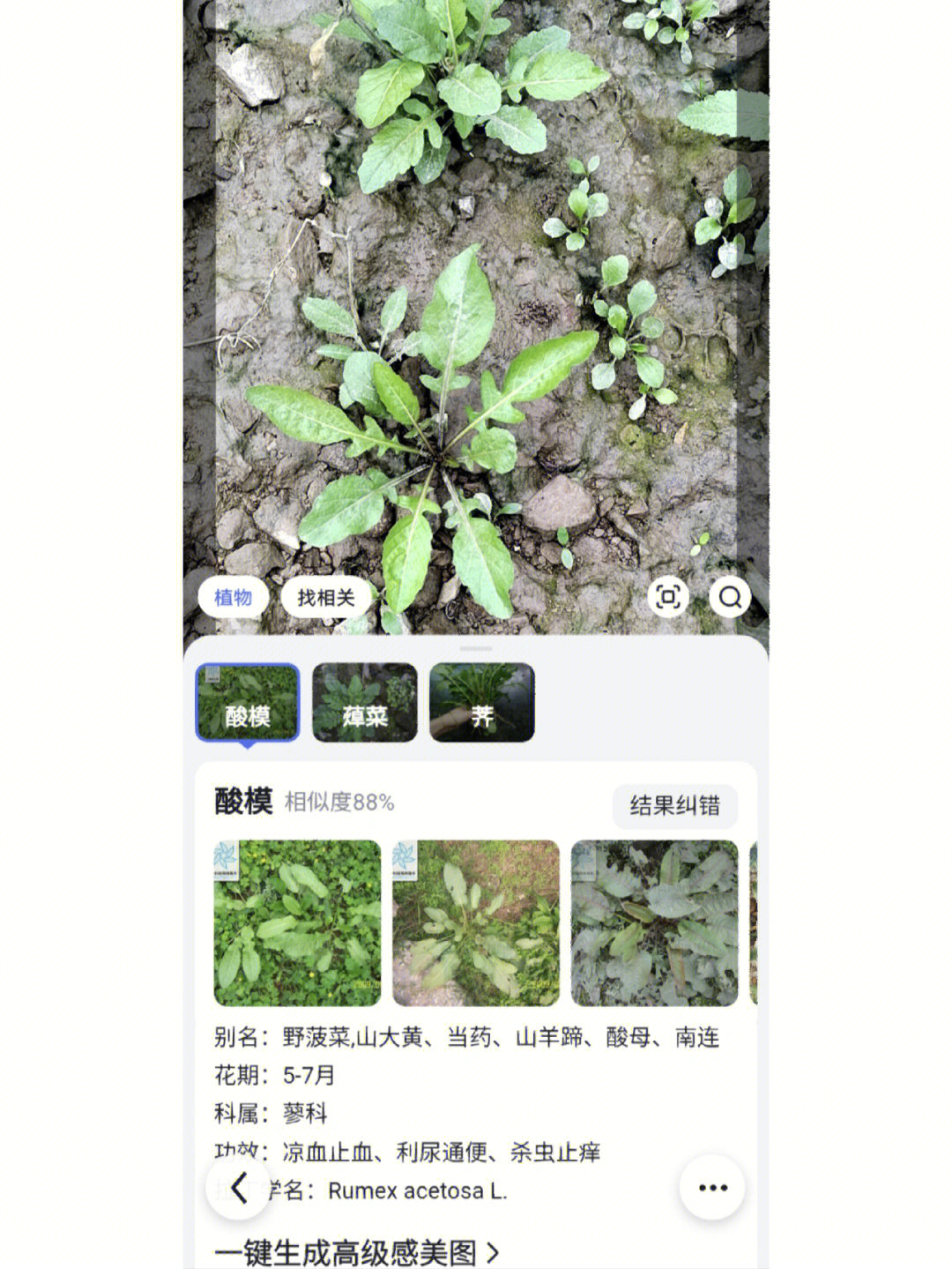 百度植物扫描识别图片