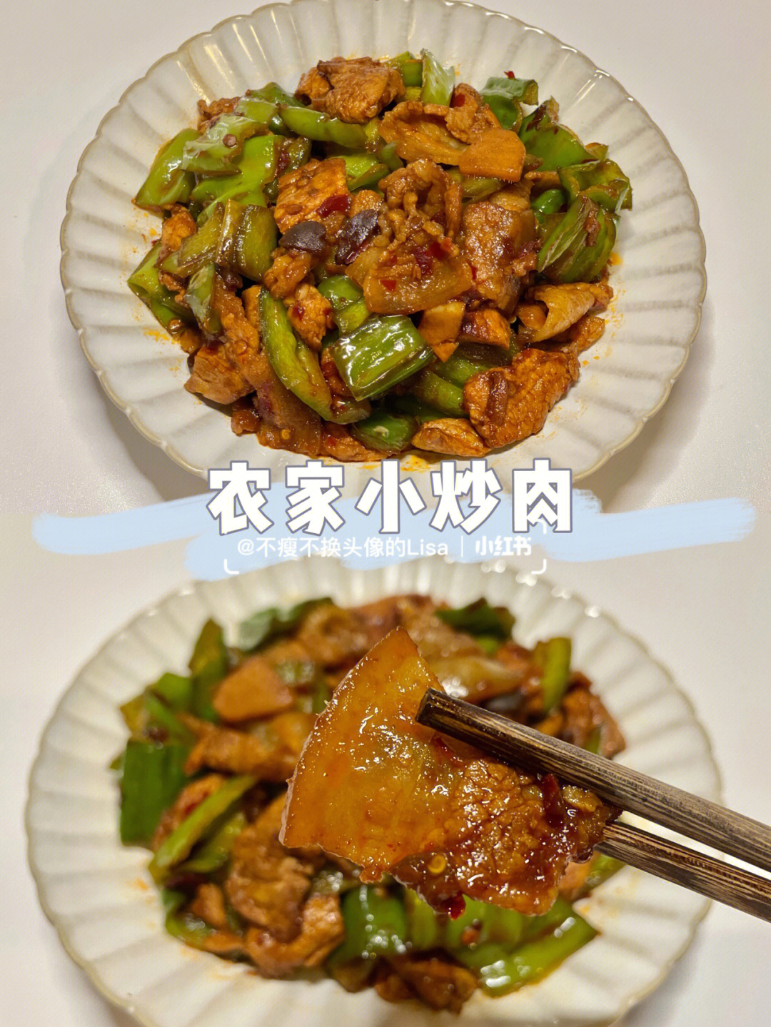 小炒慕容多肉图片