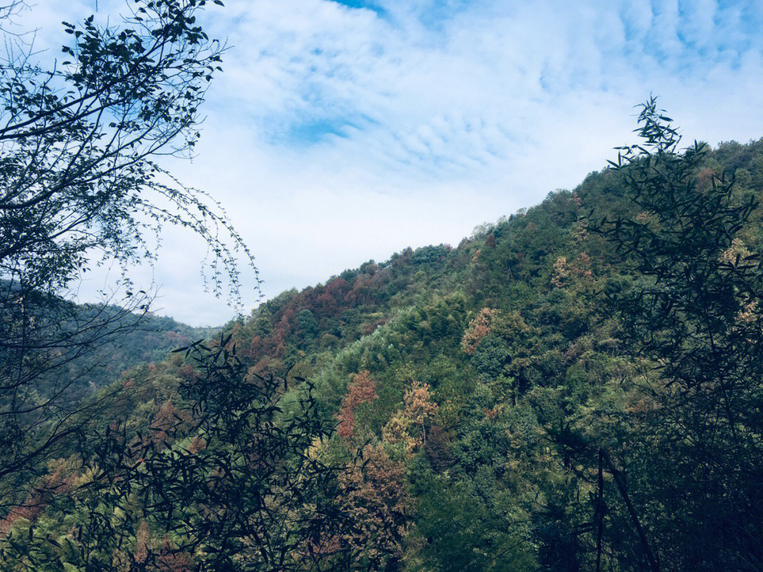 九龙谷霞客古道图片