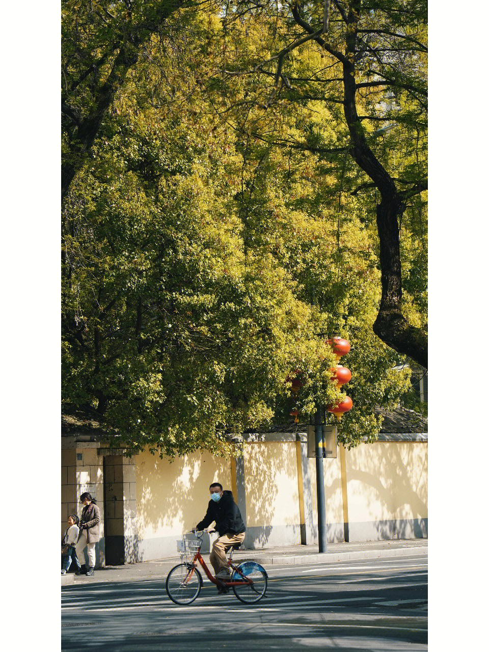 颐和路拍照图片