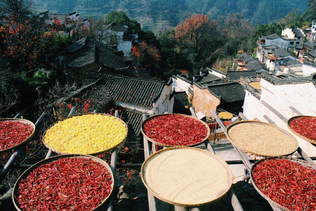 江西景德镇婺源旅行|90681.