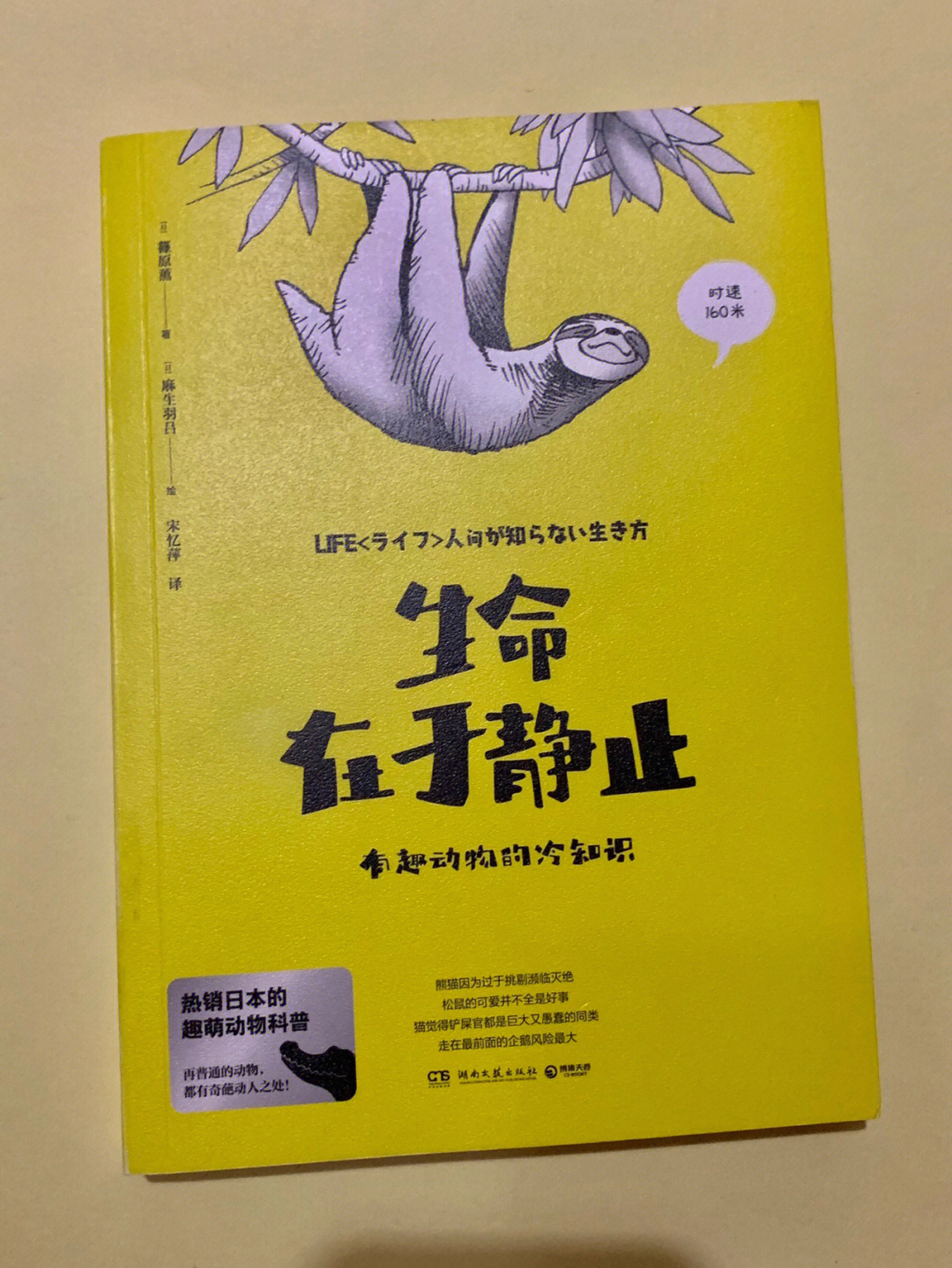 种小动物03敢于挑战强大的狮子94树懒为什么总是如释迦佛陀般纹丝