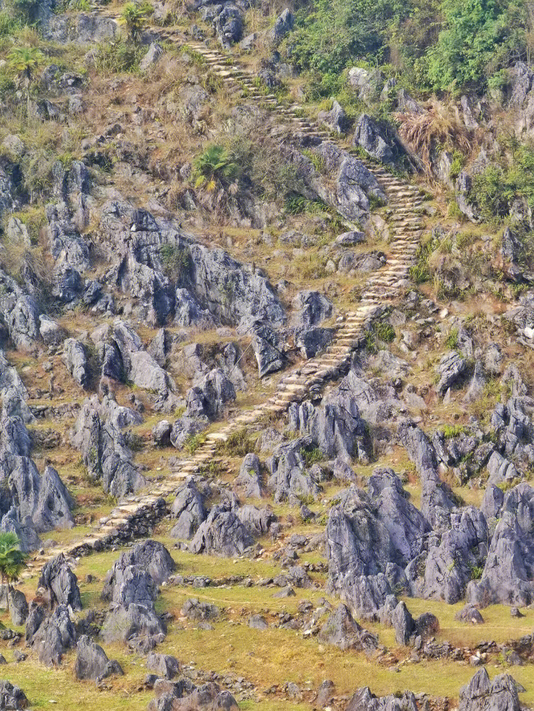 阳山古道徒步线路图片