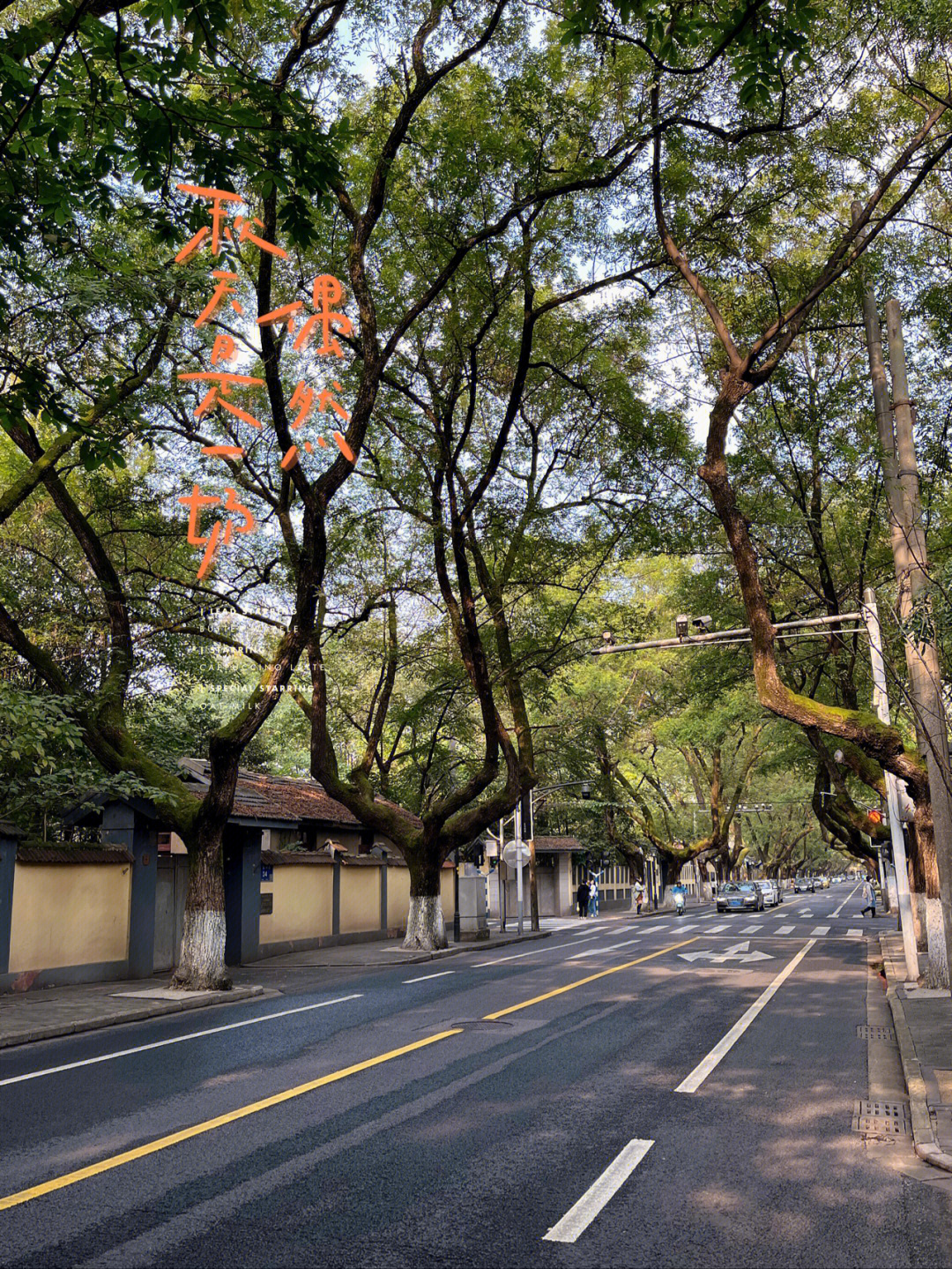 颐和路拍照图片