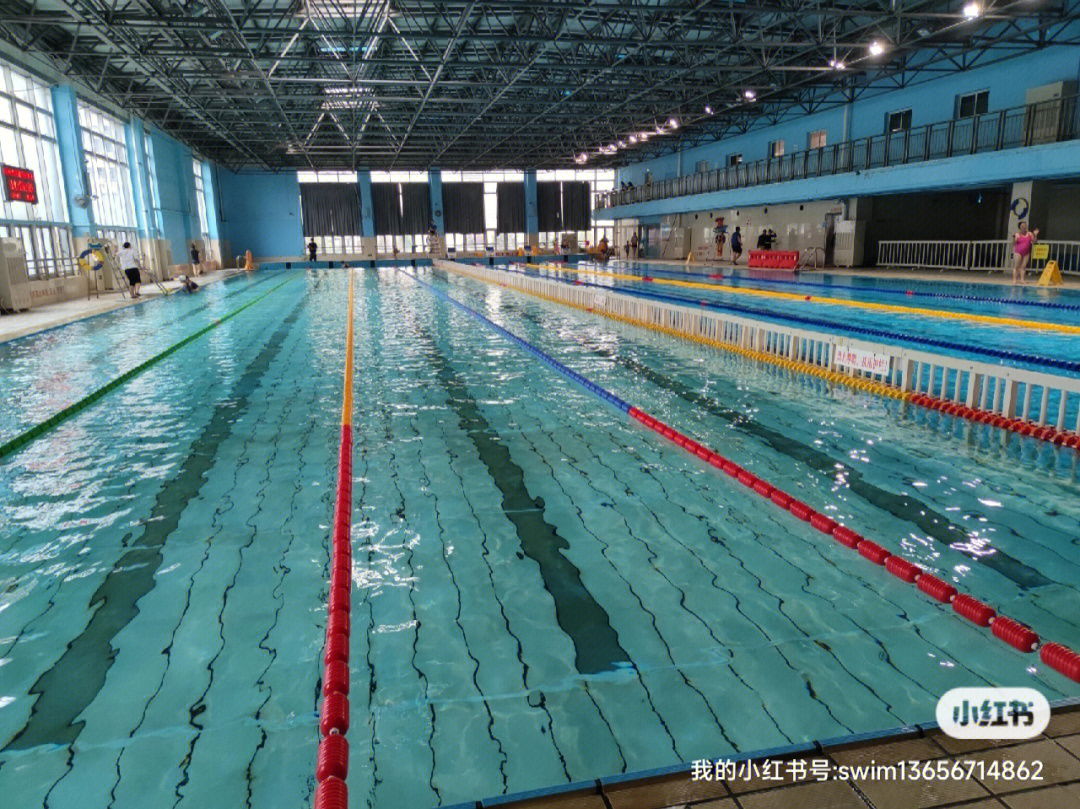 杭州游泳女教练拱墅区游泳馆学游泳