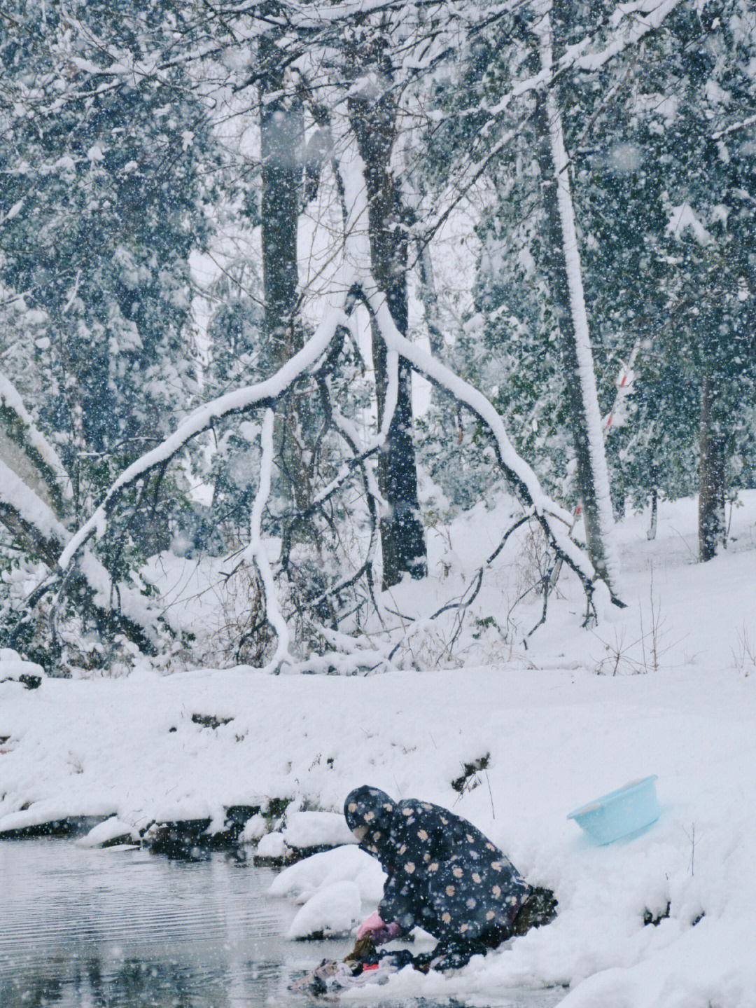 雪中行简谱图片