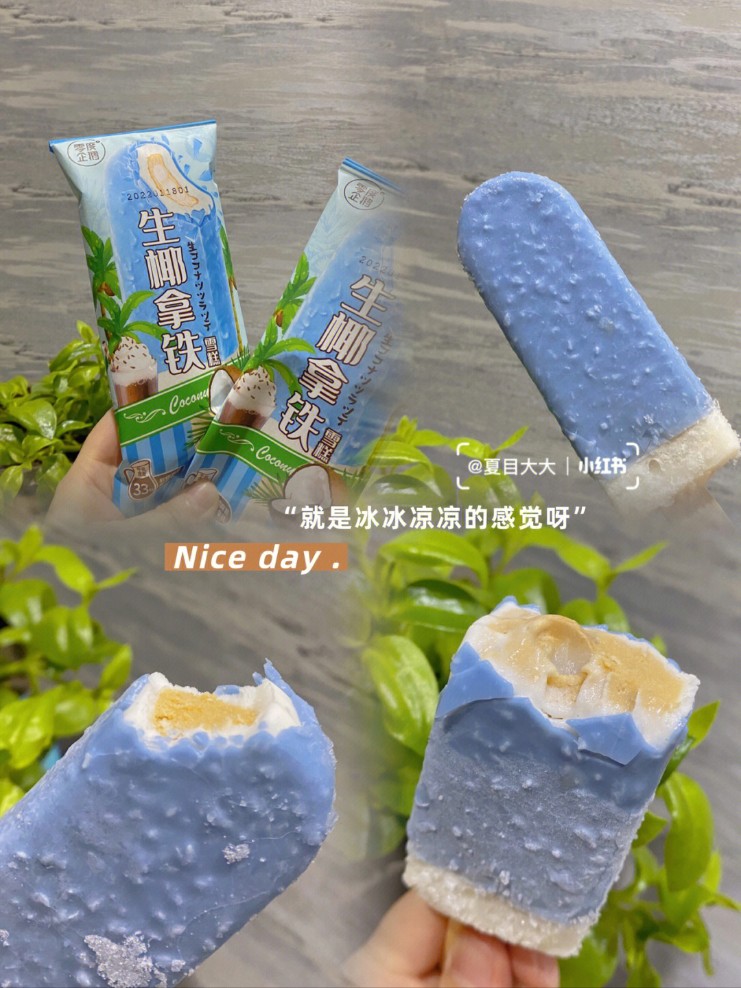 没有什么比夏天吃雪糕更幸福的了吧!今日份快乐是零度企鹅93给的!