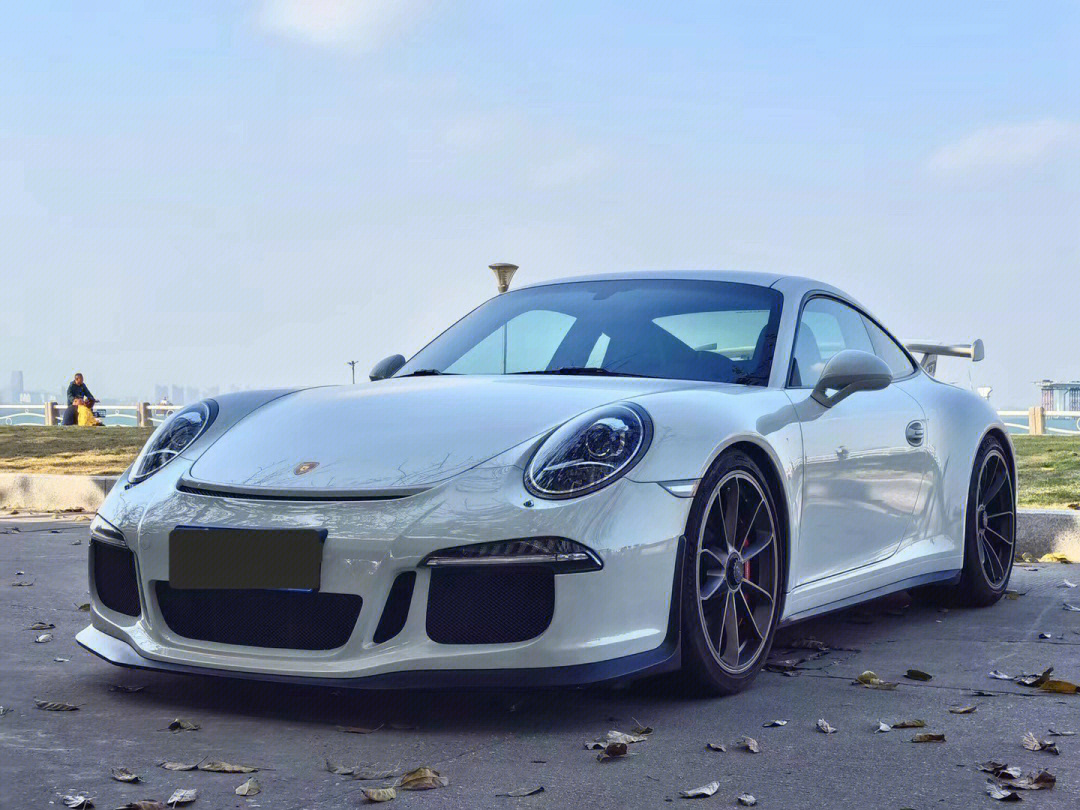 2015年保时捷991.1gt3