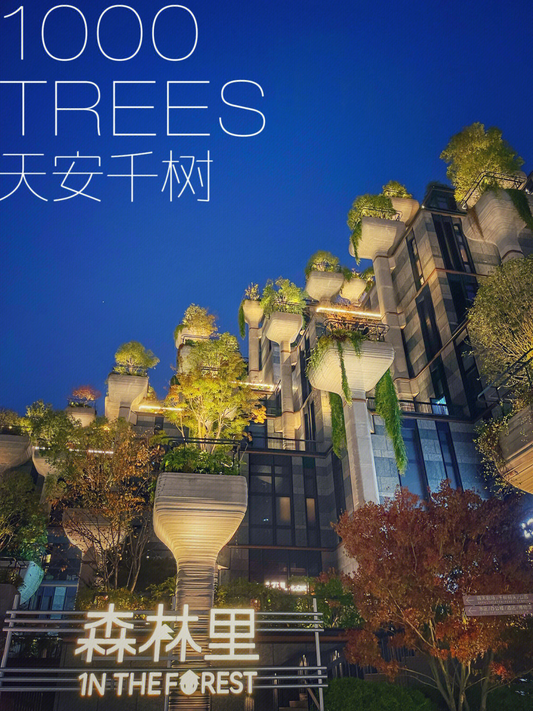 天安千树1000trees