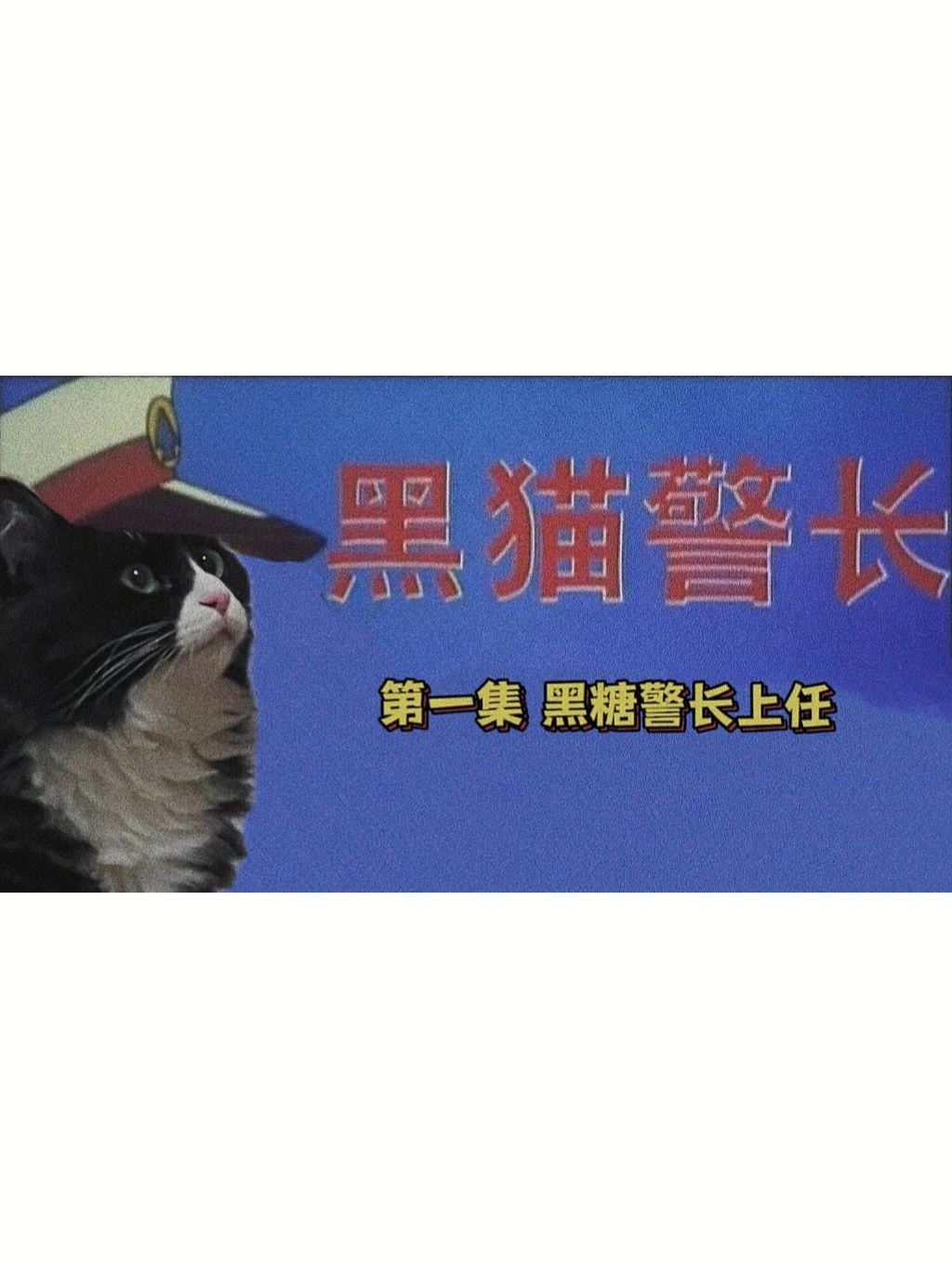 69我就是黑猫警长