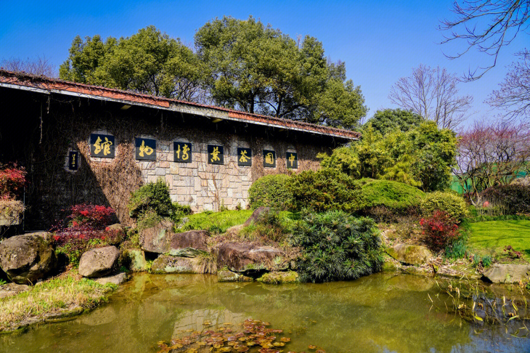 中国最大的茶博物馆图片