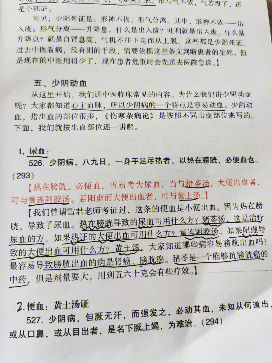 大黄黄连泻心汤禁忌图片