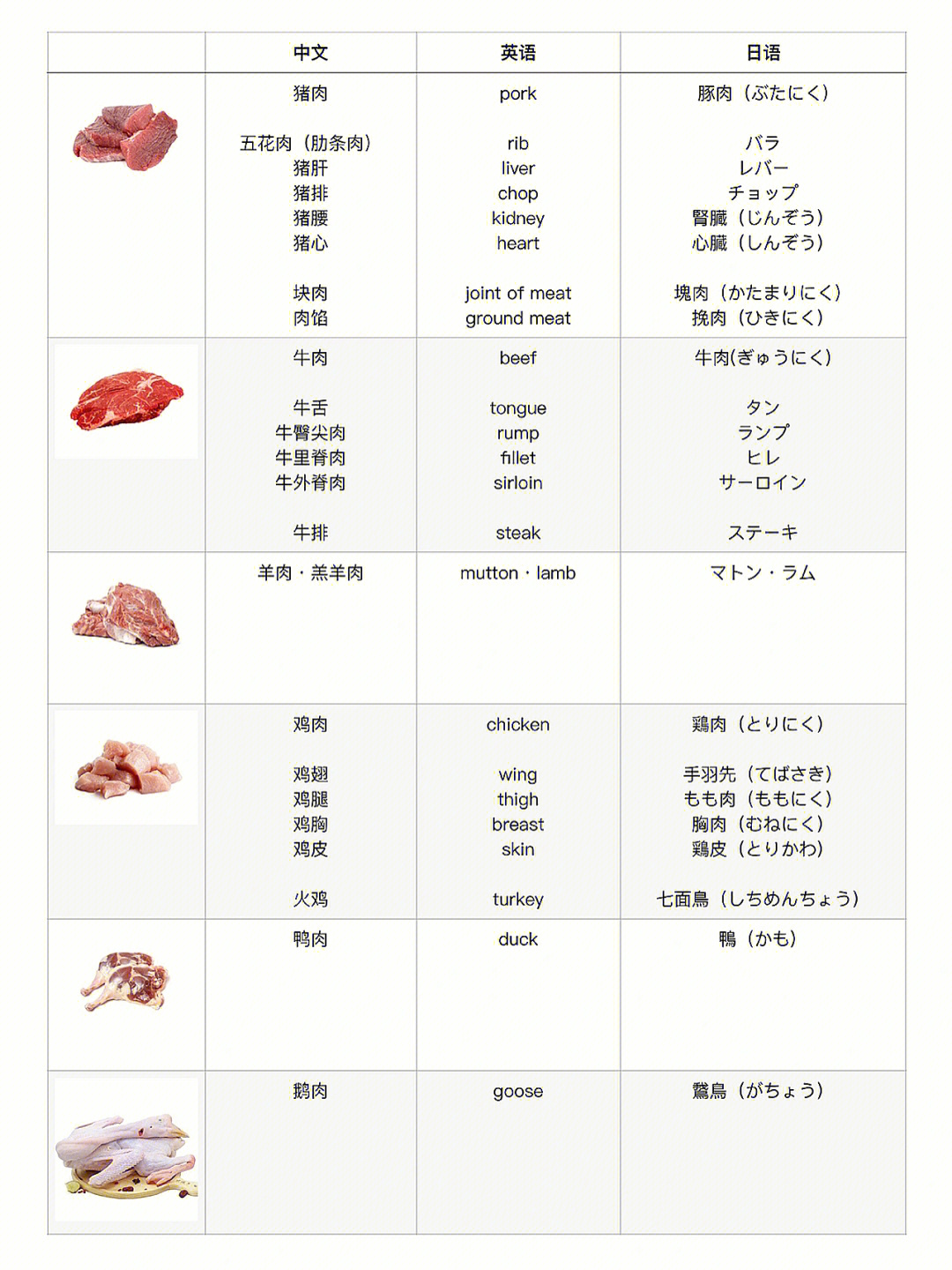 牛肉的英语单词图片