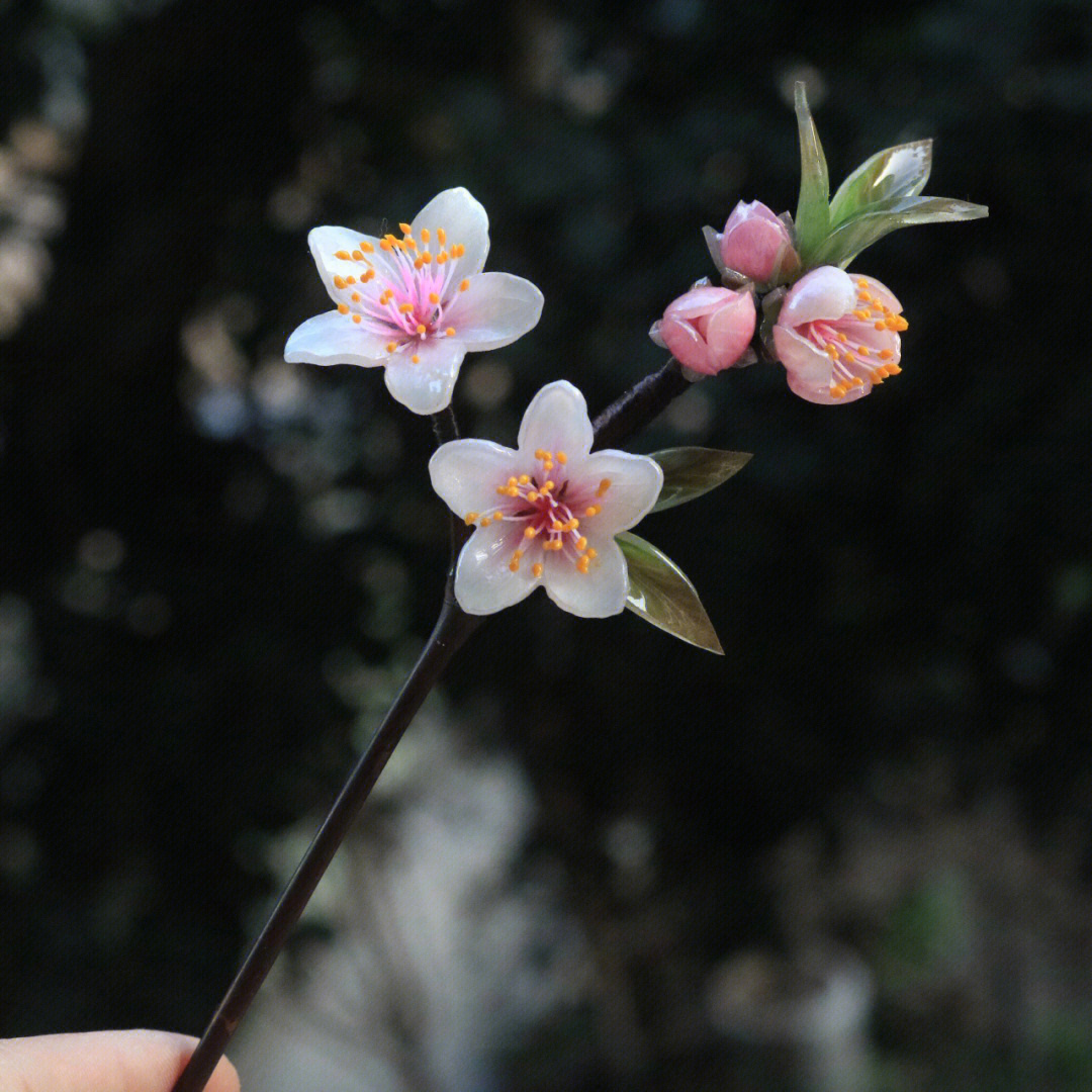 桃花簪子知乎图片