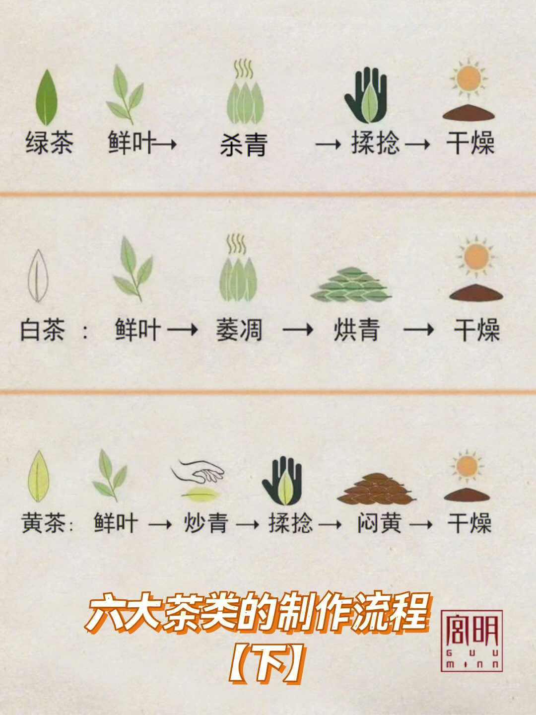 竹芋切片晒干方法图片