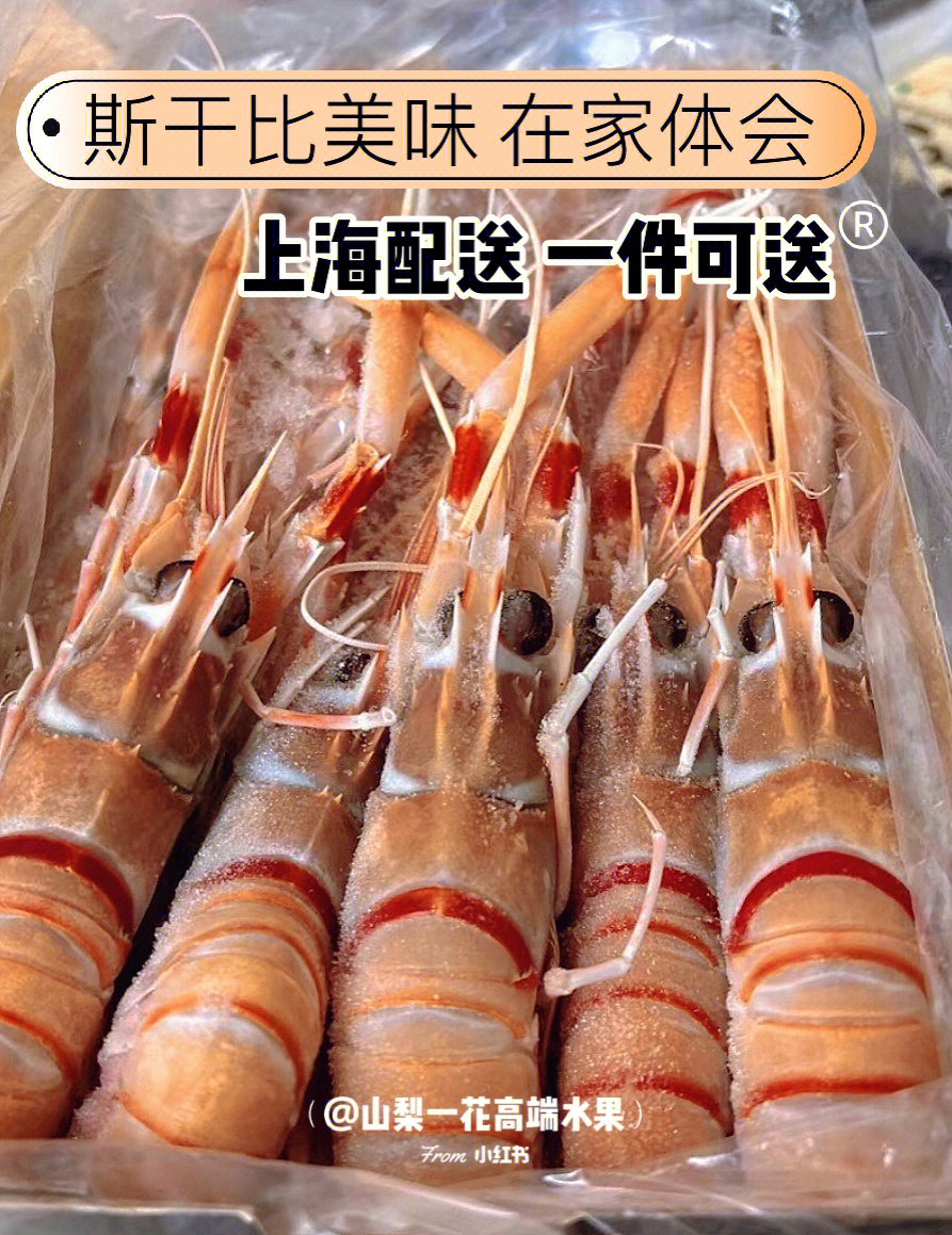 上海配送刺身级鳌虾の美味到家