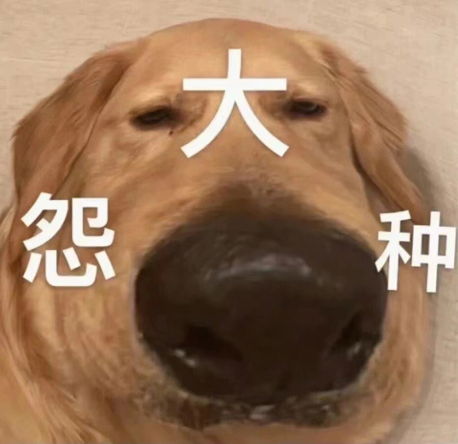 搞笑表情包