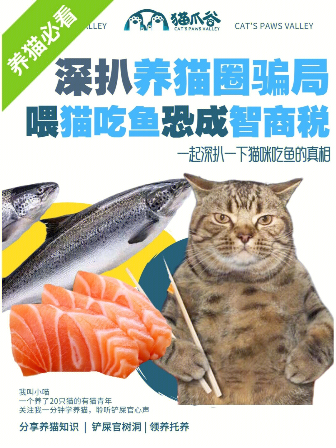 本期小喵给大家分析一波给猫咪喂鱼肉究竟多坑猫!