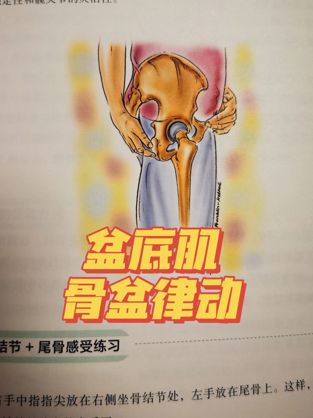 男性骨盆底肌训练方法图片