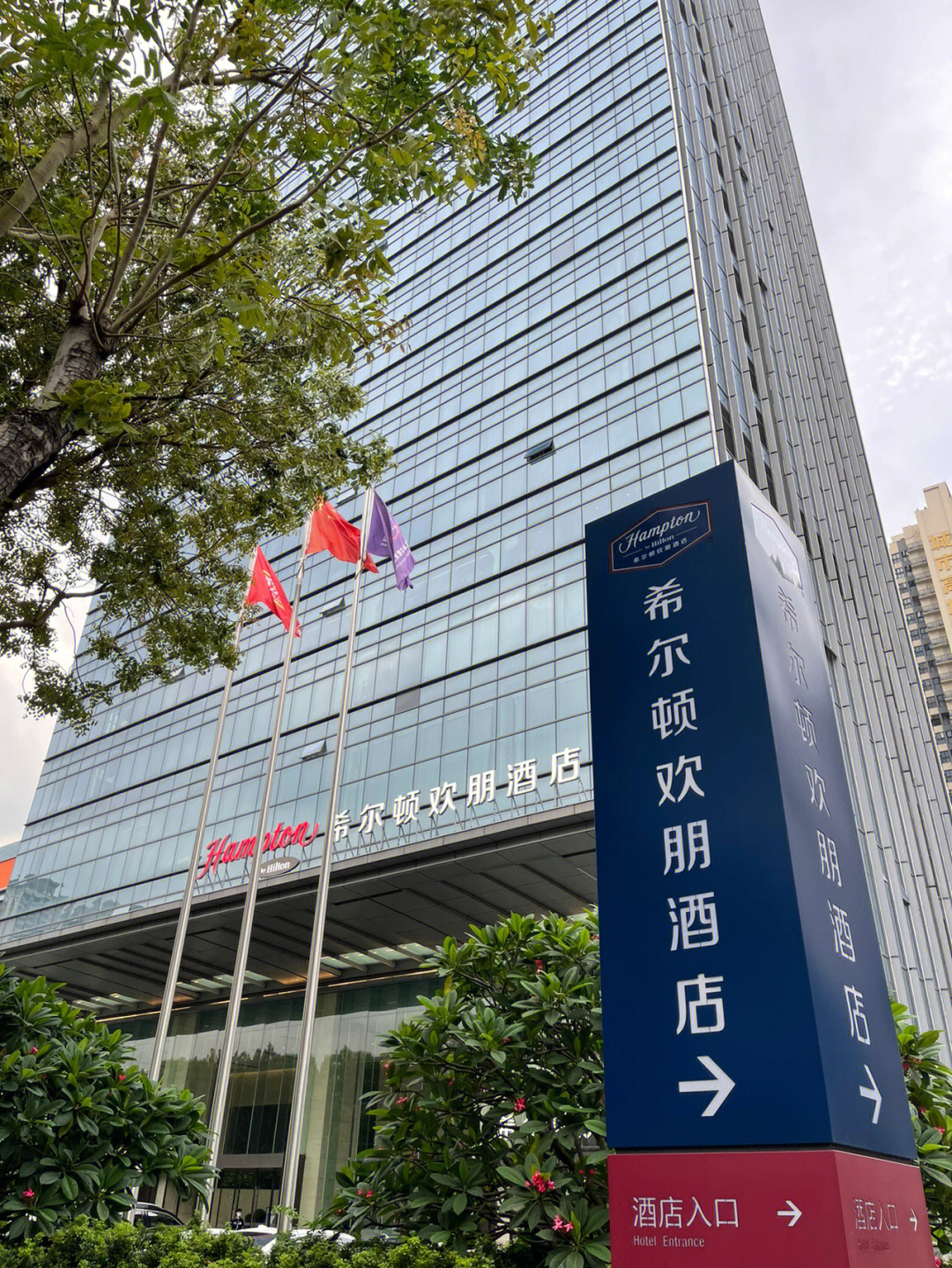 湛江康大酒店图片