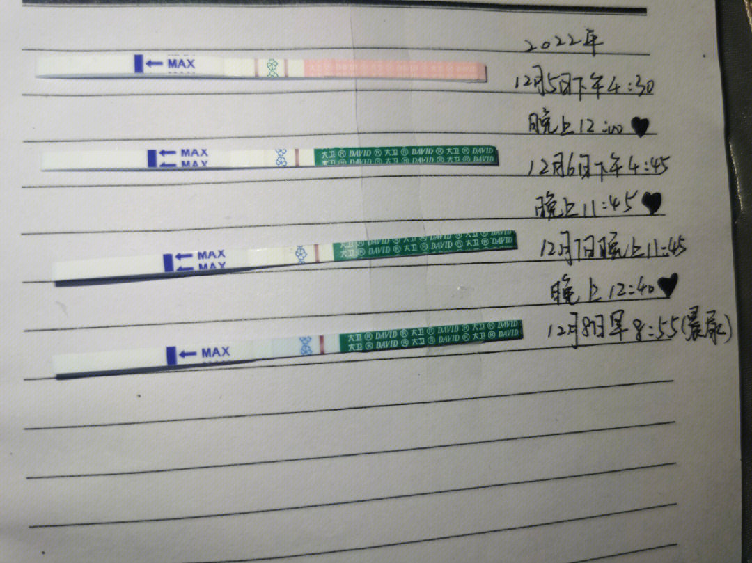 hcg代谢图解图片