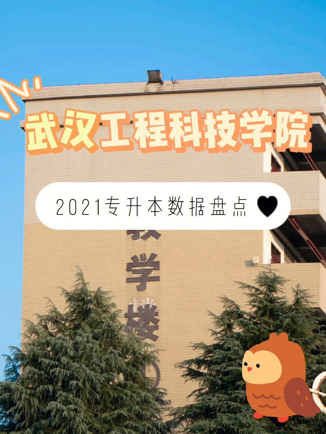 武汉工程科技学院2021专升本数据整理