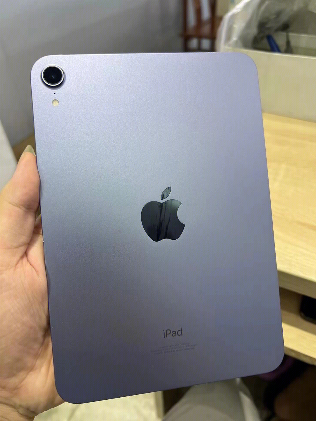 ipadmini6