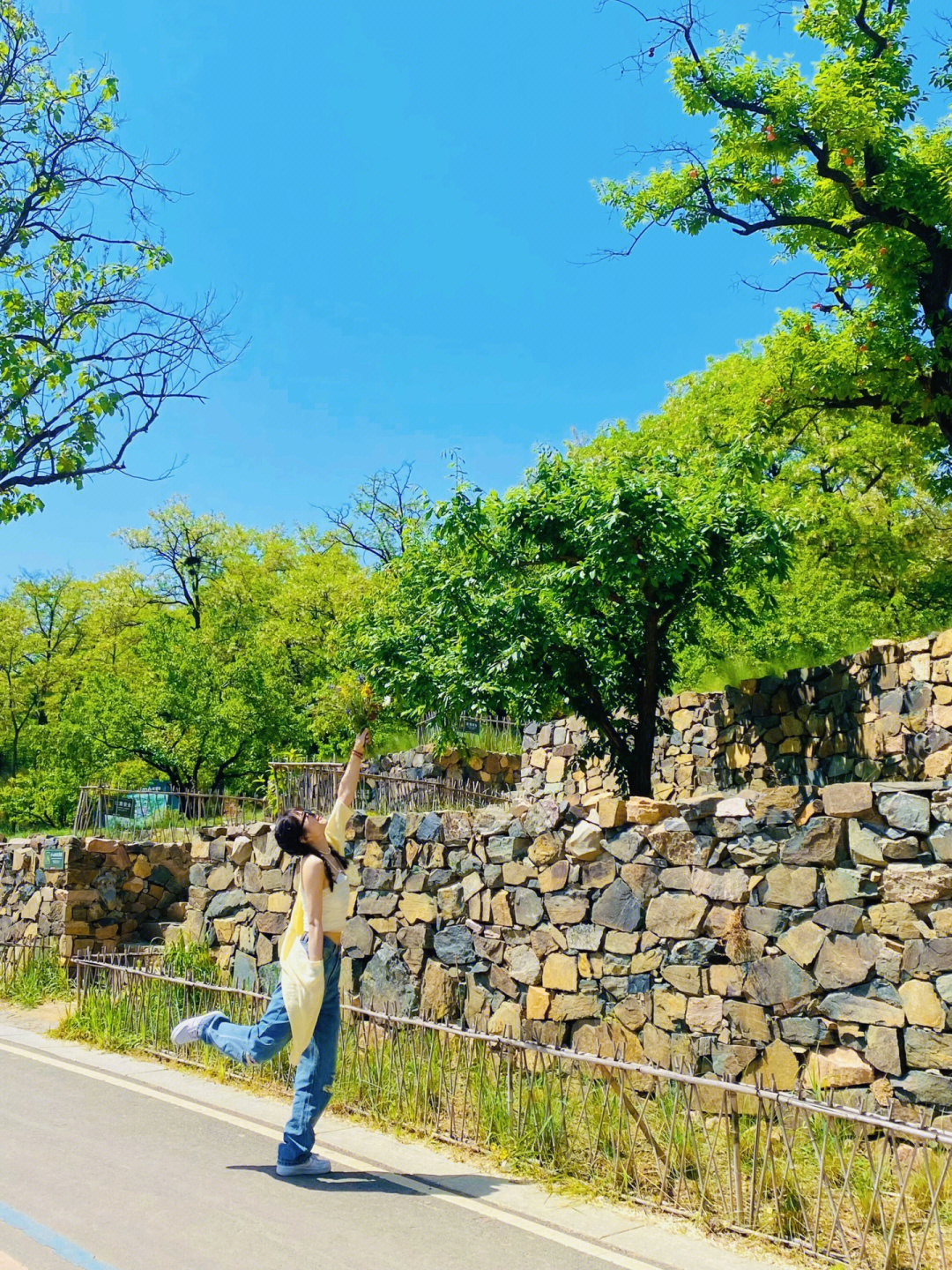 伊川建业绿色基地门票图片