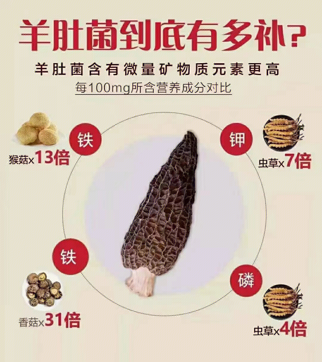 羊肚菌营养袋感染图片