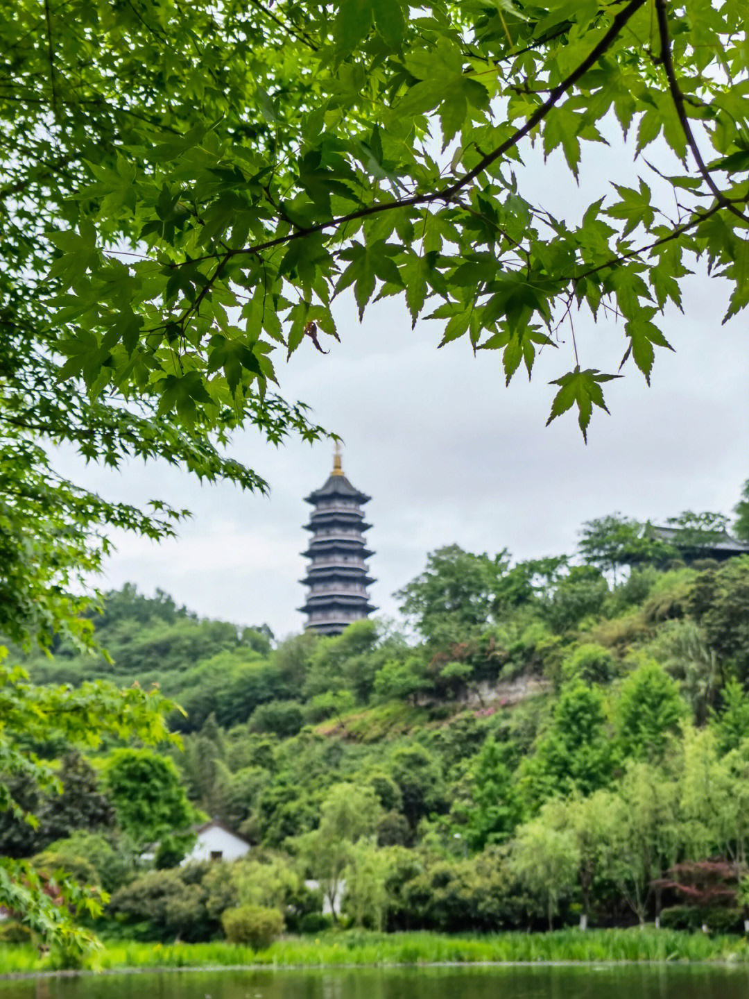 黄师塔前江水东,春光懒困倚微风|园博中心