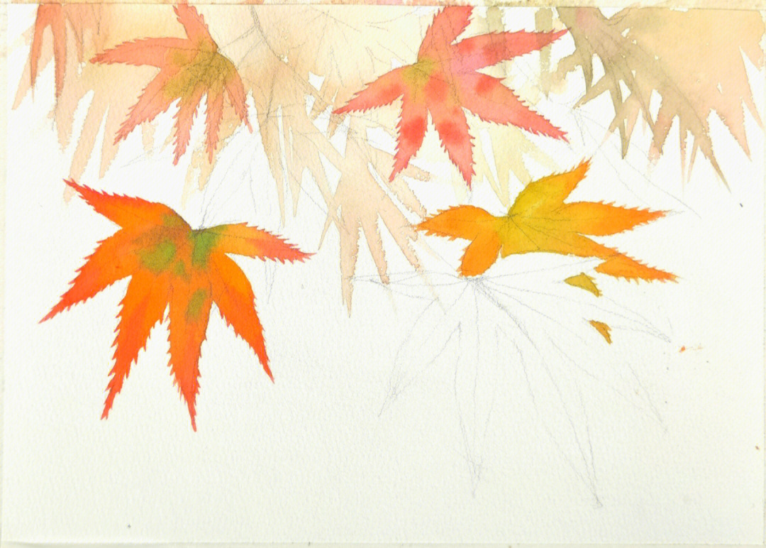 秋天来画几片枫叶吧