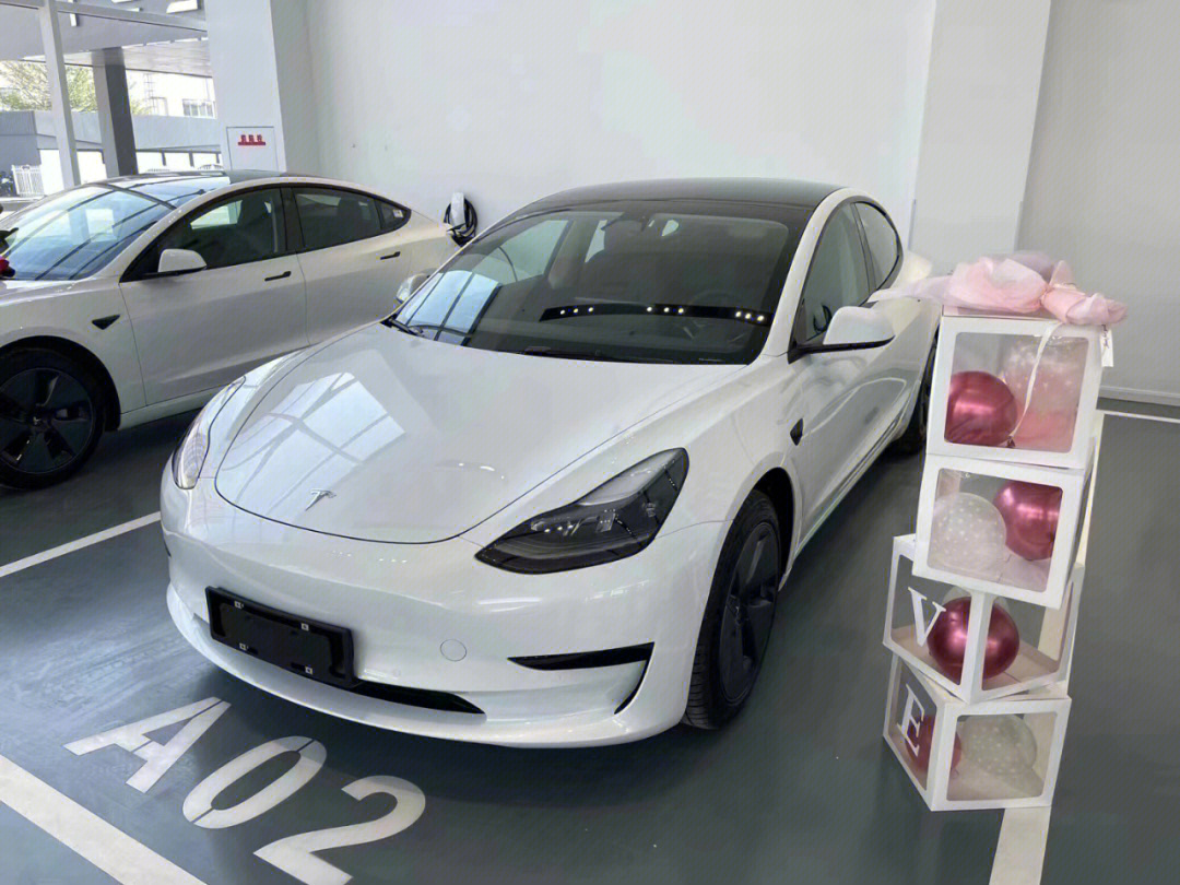 全新22款特斯拉model3标续白色