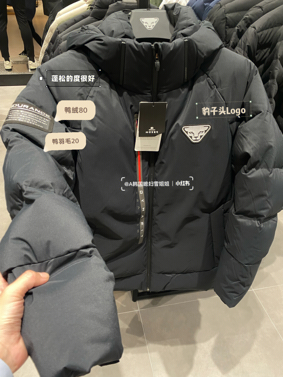 豹子logo的衣服牌子图片