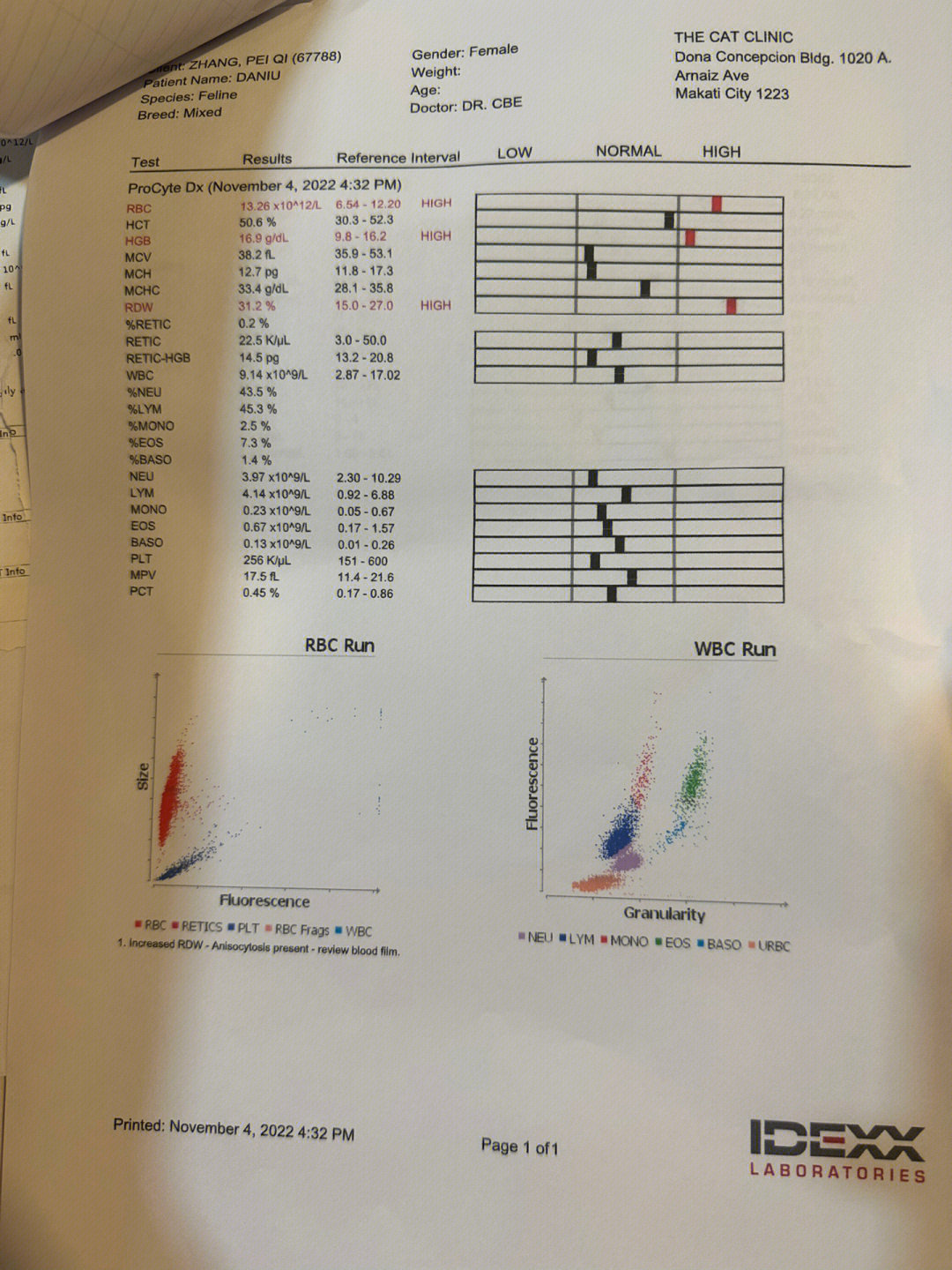 猫正常白球比图片