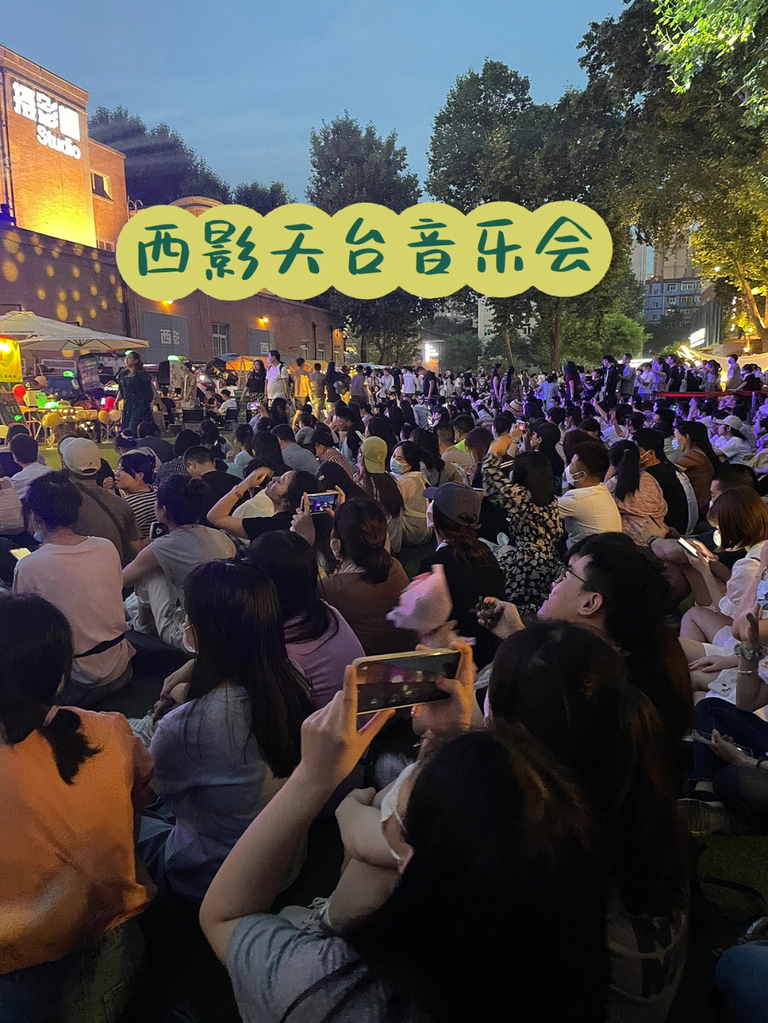 夏天夜晚昆虫音乐会图片